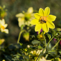 Similar image 13248790