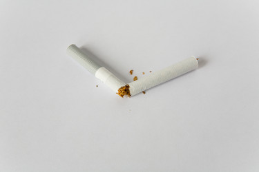 Similar image 13274491