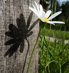 Similar image 13263786