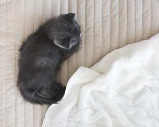 Similar image 13248828