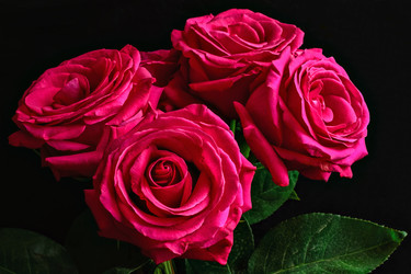 Similar image 13260774