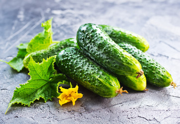 Similar image 13249518