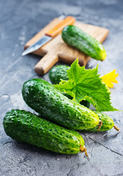 Similar image 13249575