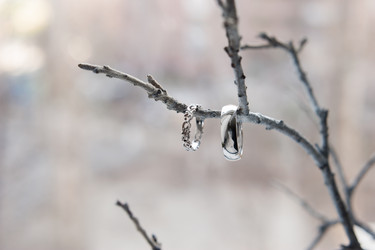 Similar image 13269952