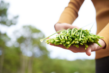 Similar image 13249698