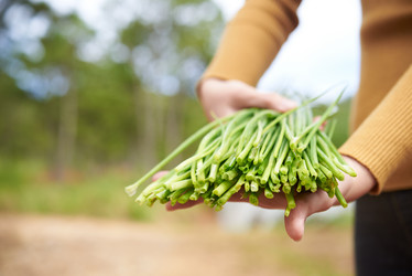 Similar image 13249699