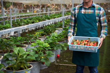 Similar image 13249701