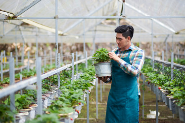 Similar image 13249715