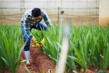 Similar image 13249721