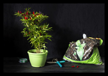 Similar image 13276912