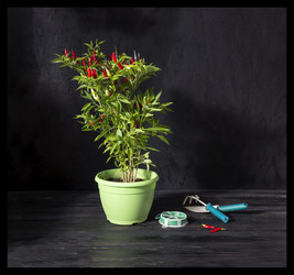 Similar image 13276965