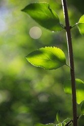 Similar image 13264391