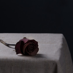 Similar image 13264392