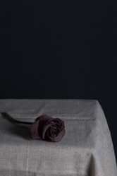 Similar image 13264393