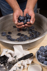 Similar image 13264396