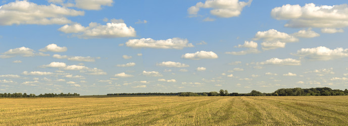 Similar image 13264423