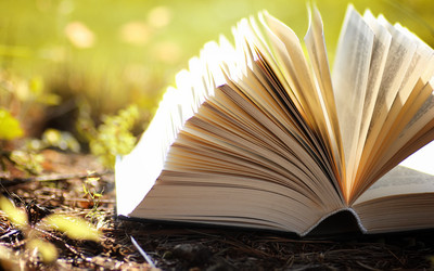 Similar image 13274723