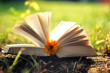 Similar image 13274772