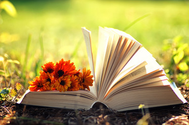 Similar image 13274818