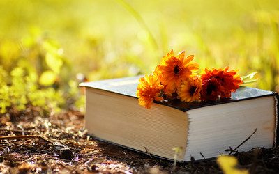 Similar image 13274976