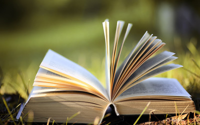 Similar image 13275034