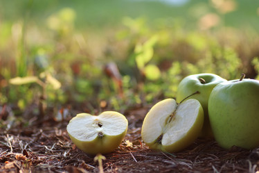 Similar image 13275135