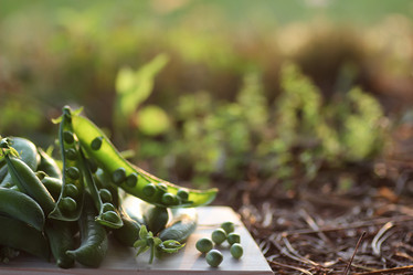 Similar image 13275187