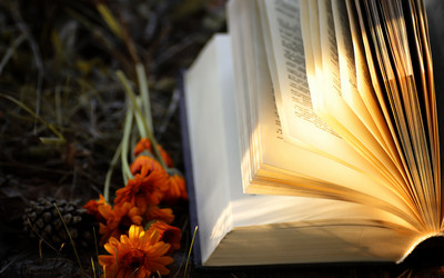 Similar image 13274899