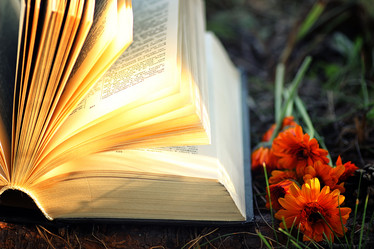 Similar image 13275231