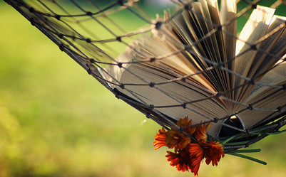 Similar image 13275279