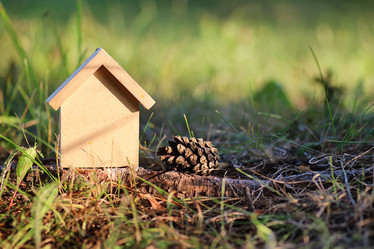 Similar image 13276367