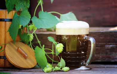 Similar image 13275923