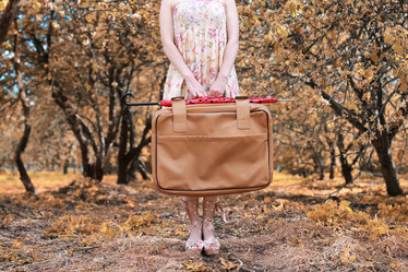 Similar image 13276463