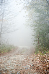 Similar image 13269859