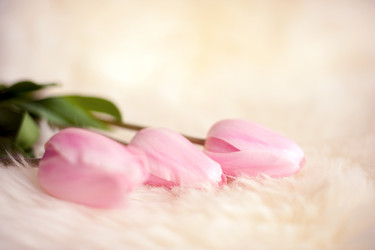 Similar image 13269861