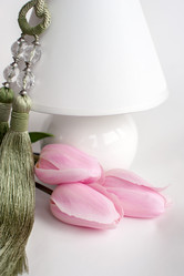 Similar image 13269870