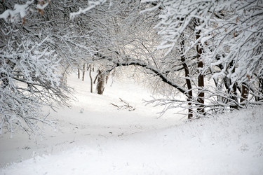 Similar image 13269872