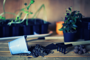 Similar image 13274659