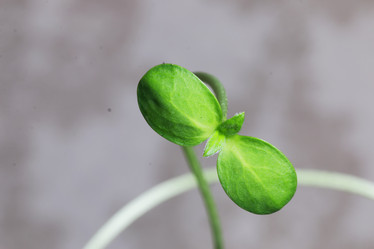 Similar image 13274724