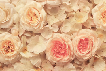 Similar image 13275209