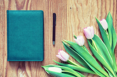 Similar image 13278105