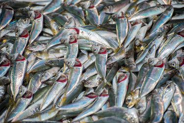 Similar image 13269932