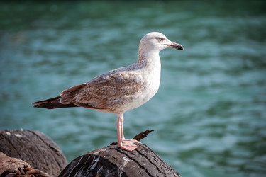 Similar image 13269933