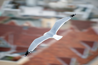 Similar image 13269936