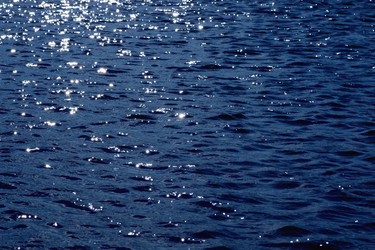 Similar image 13275283