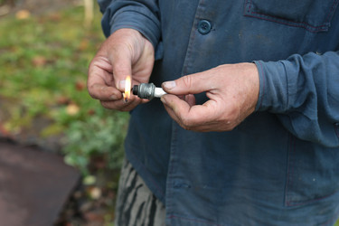 Similar image 13276484