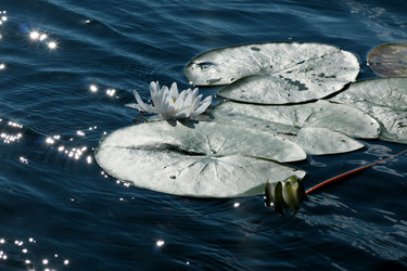 Similar image 13277847