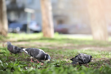 Similar image 13277950