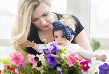 Similar image 13250722