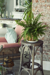 Similar image 13250749